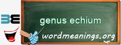 WordMeaning blackboard for genus echium
